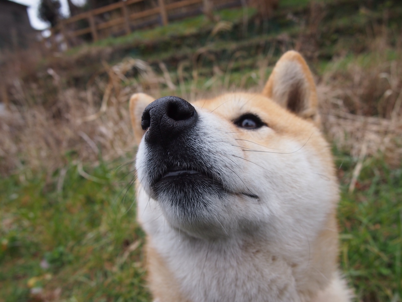_加州硬地赛：热血拼搏，谁能摘取桂冠？_，加州t.