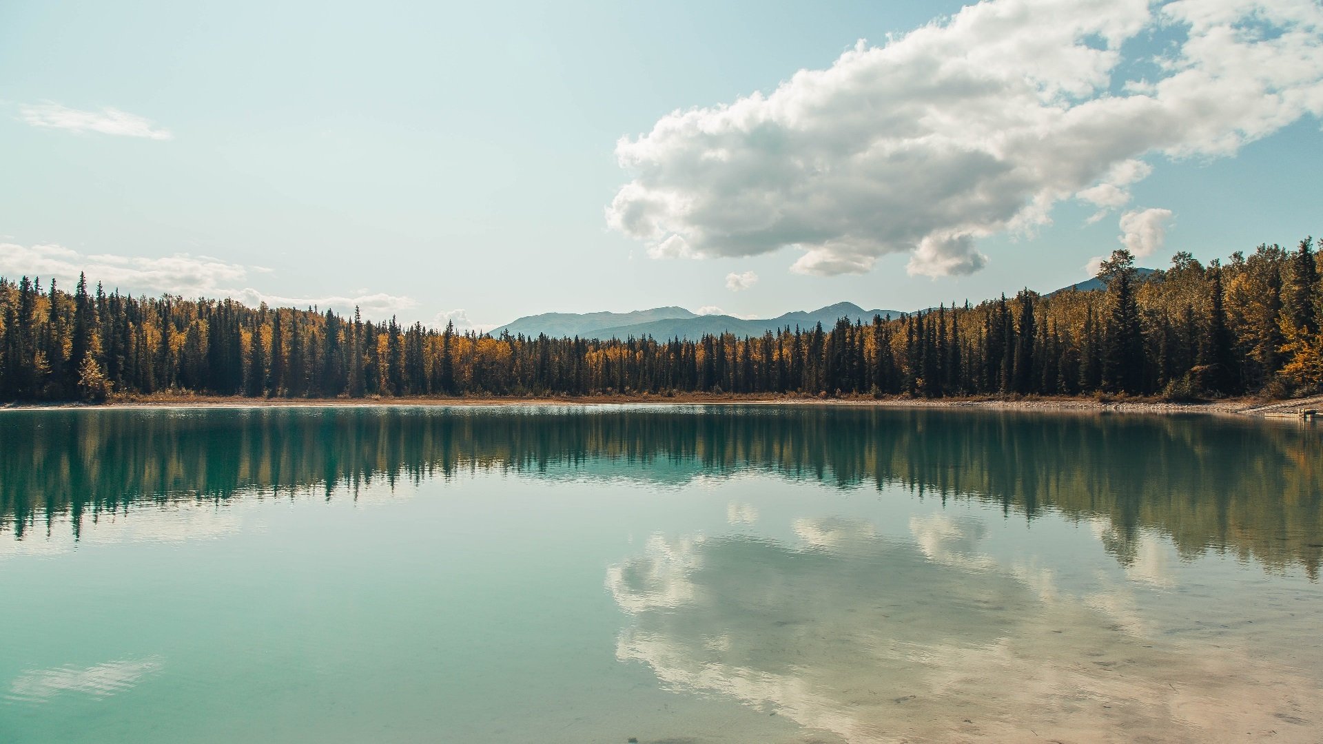_多夫特带领奇才逆转战局_,多特莱万多夫斯基
