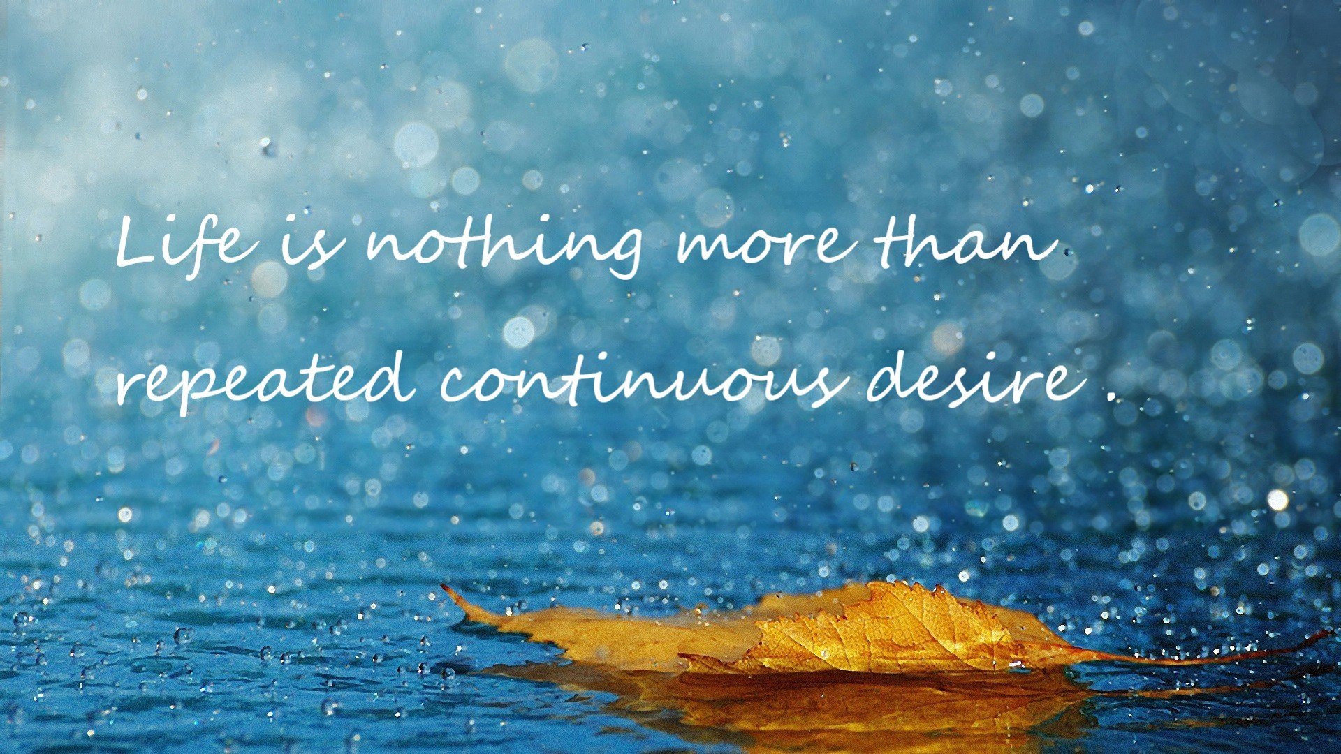 _篮网状态火热，持续领跑联盟_，篮网状况