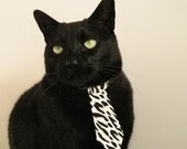 “战术精准：教练的终极布置解密”，教练战术板下载