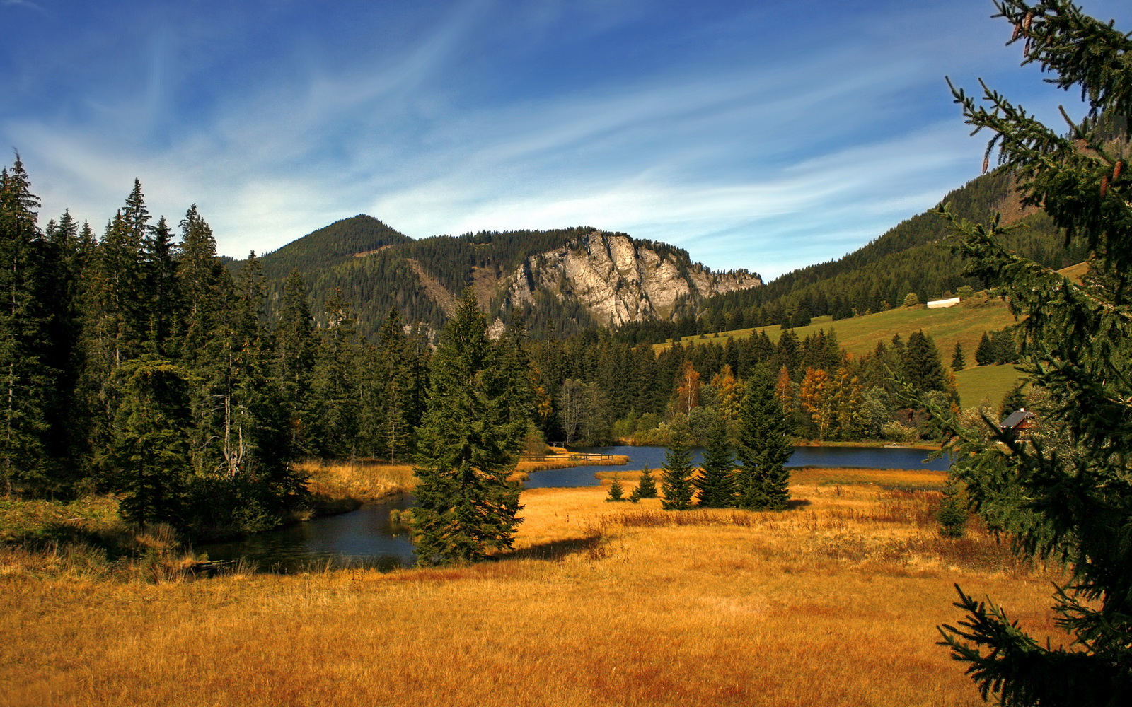 华体会hth官方网站登录-【心理战术】运动员如何利用战术迷惑对手？，运动员战术意识的含义和内容