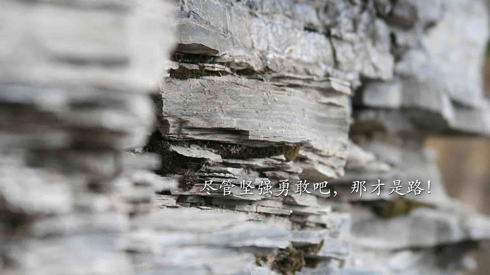 中国足球青训营地建设全面提速，打造未来“足球之都”，中国足球青训俱乐部排名