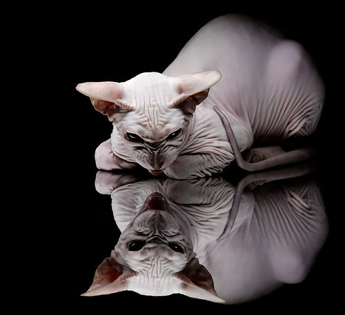 史上最火爆的“关键三分”集锦,哪一记定胜负?,关键时刻得分榜