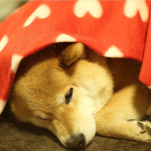 华体会hthapp登入-史上最“惊艳”的逆转战，库里在落后多分的情况下带队完成史诗逆转！