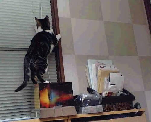 华体会hth娱乐平台-史上最令人震惊的逆转战：夜晚的“奇迹之旅”