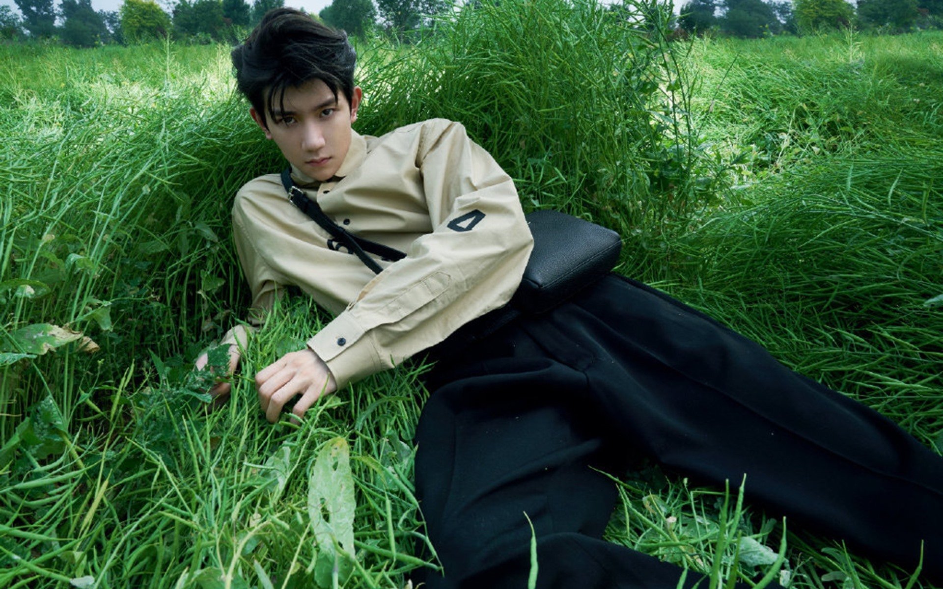 塞内加尔马术协会与国际组织合作，推广“Lamb”至全球。，塞内加尔体育馆