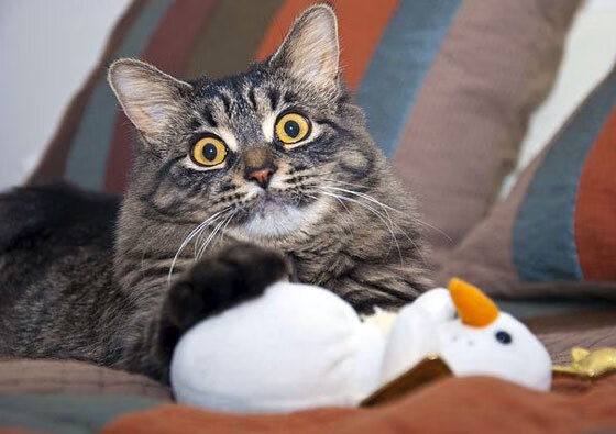 城市火炬跑，点亮全民运动的灯火通明，城市火力