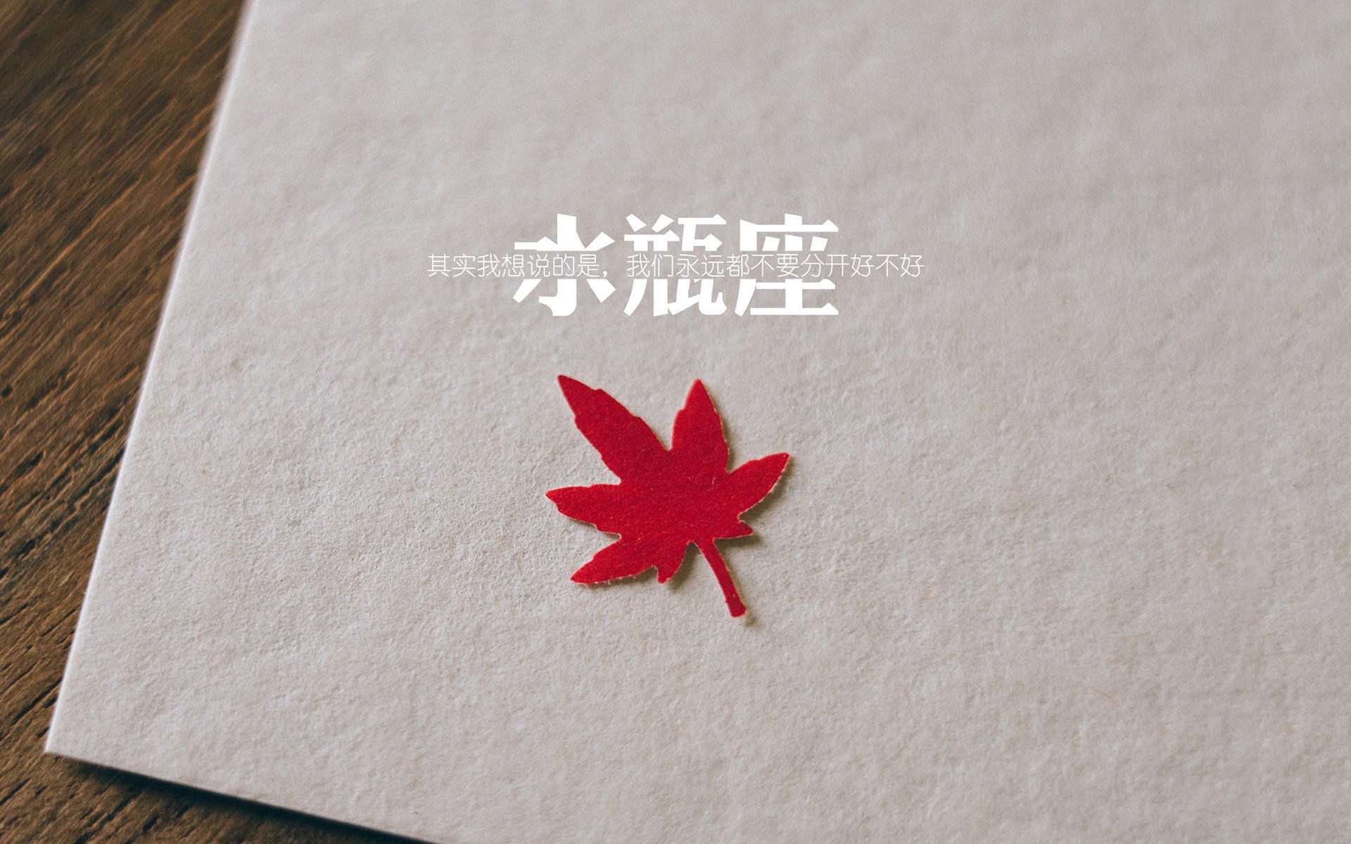 拜仁锋线新星逆天表现，带领球队持续发力，拜仁锋线新星逆天表现,带领球队持续发力