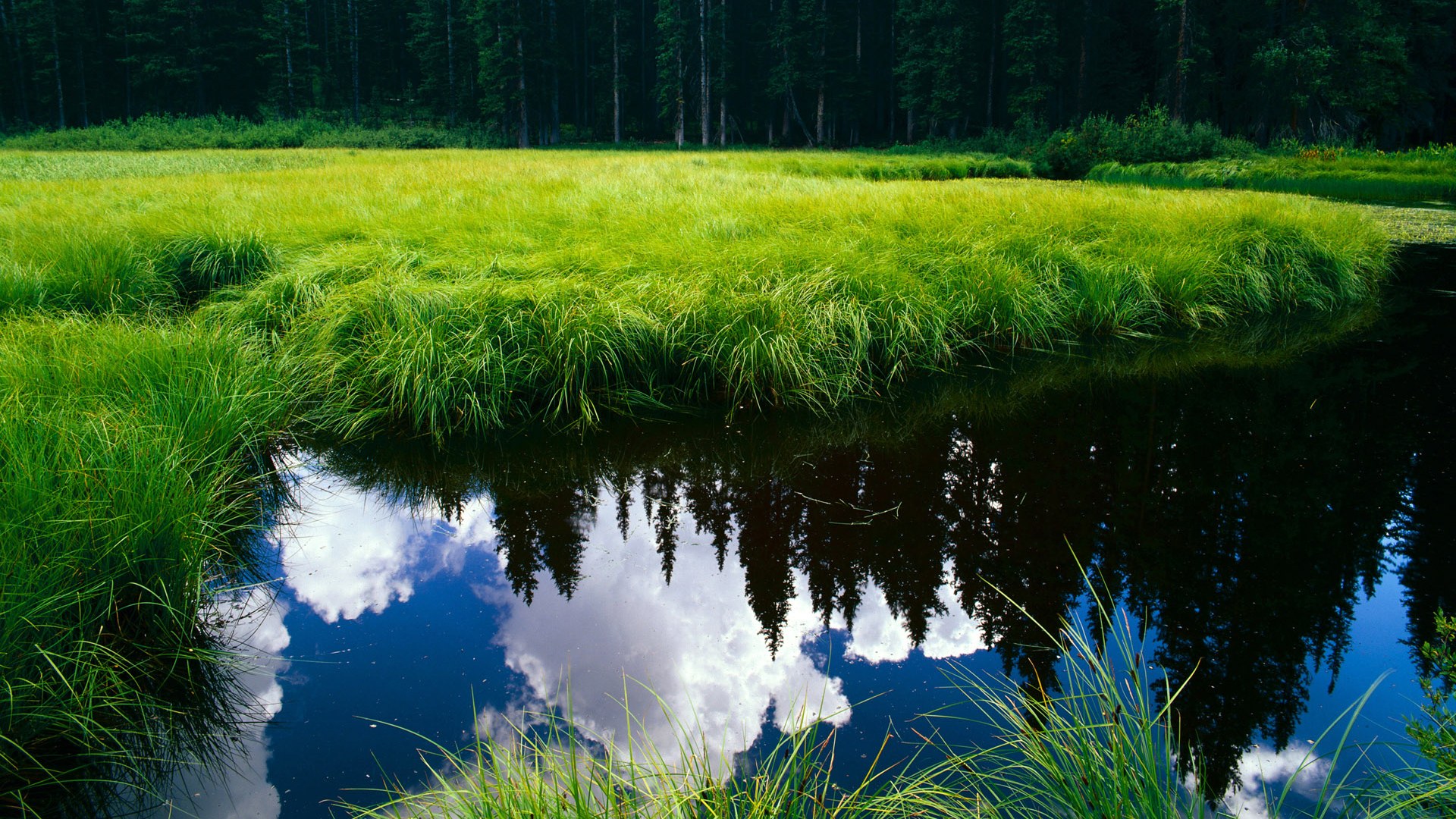 特色足球主题旅游景点逐步上线,吸引国内外游客,足球特色城市