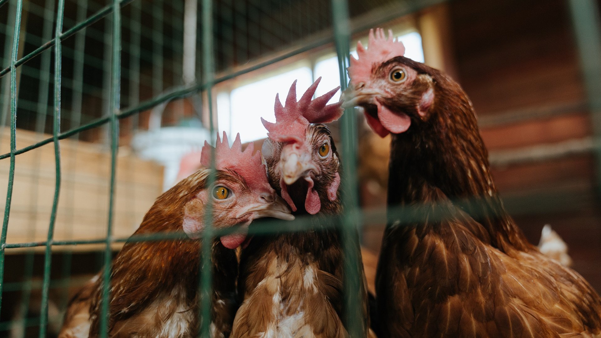 空气动力学新设计提升性能，空气动力学的魅力