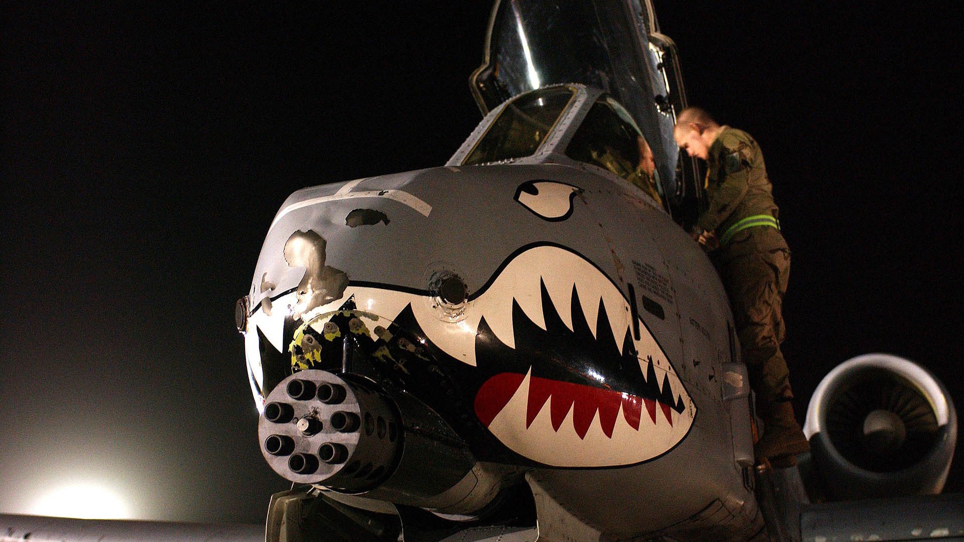 西班牙马术协会推出马术文化推广计划，提升马术运动在国内，西班牙马种