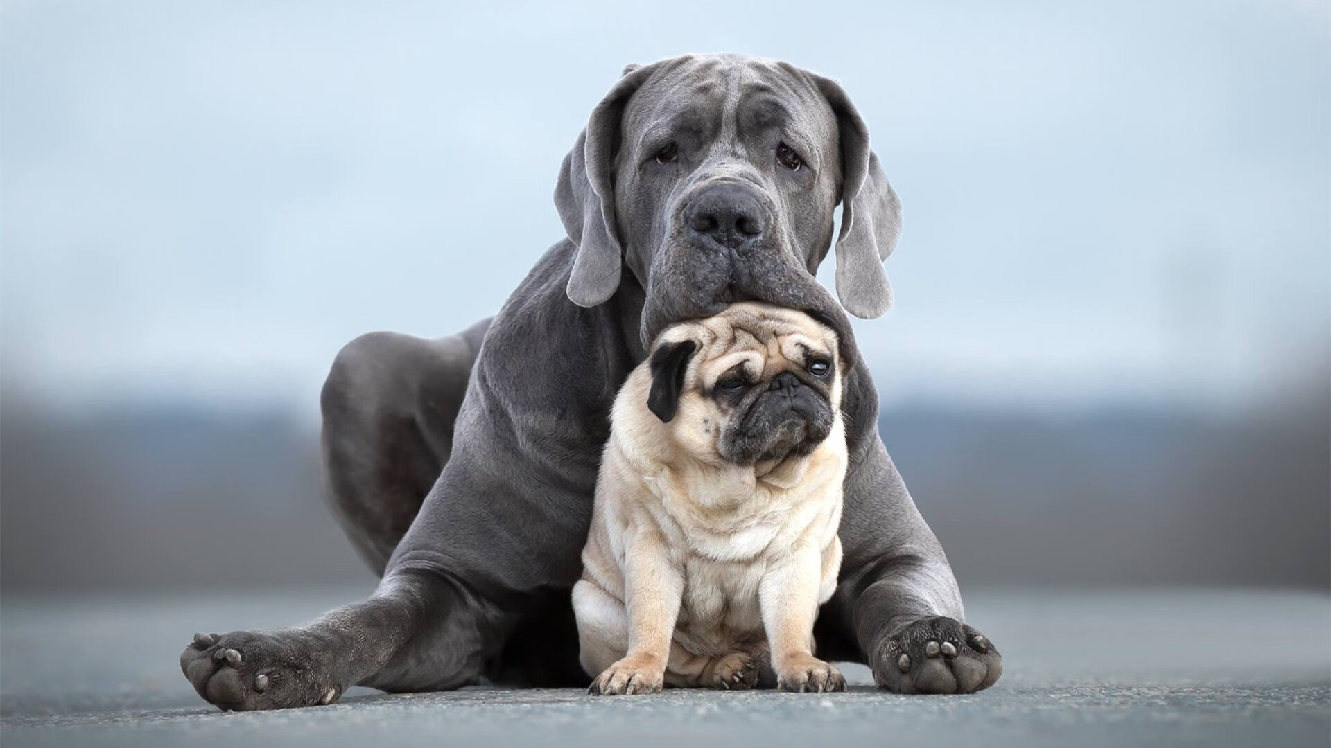 华体会hth平台下载-足球运动员心理健康问题逐渐受到重视，足球运动员的健康体现在哪些方面