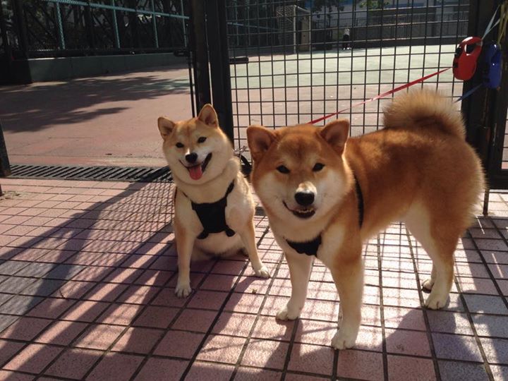 FaZe推出LOL主题短视频系列，英雄联盟faker动画