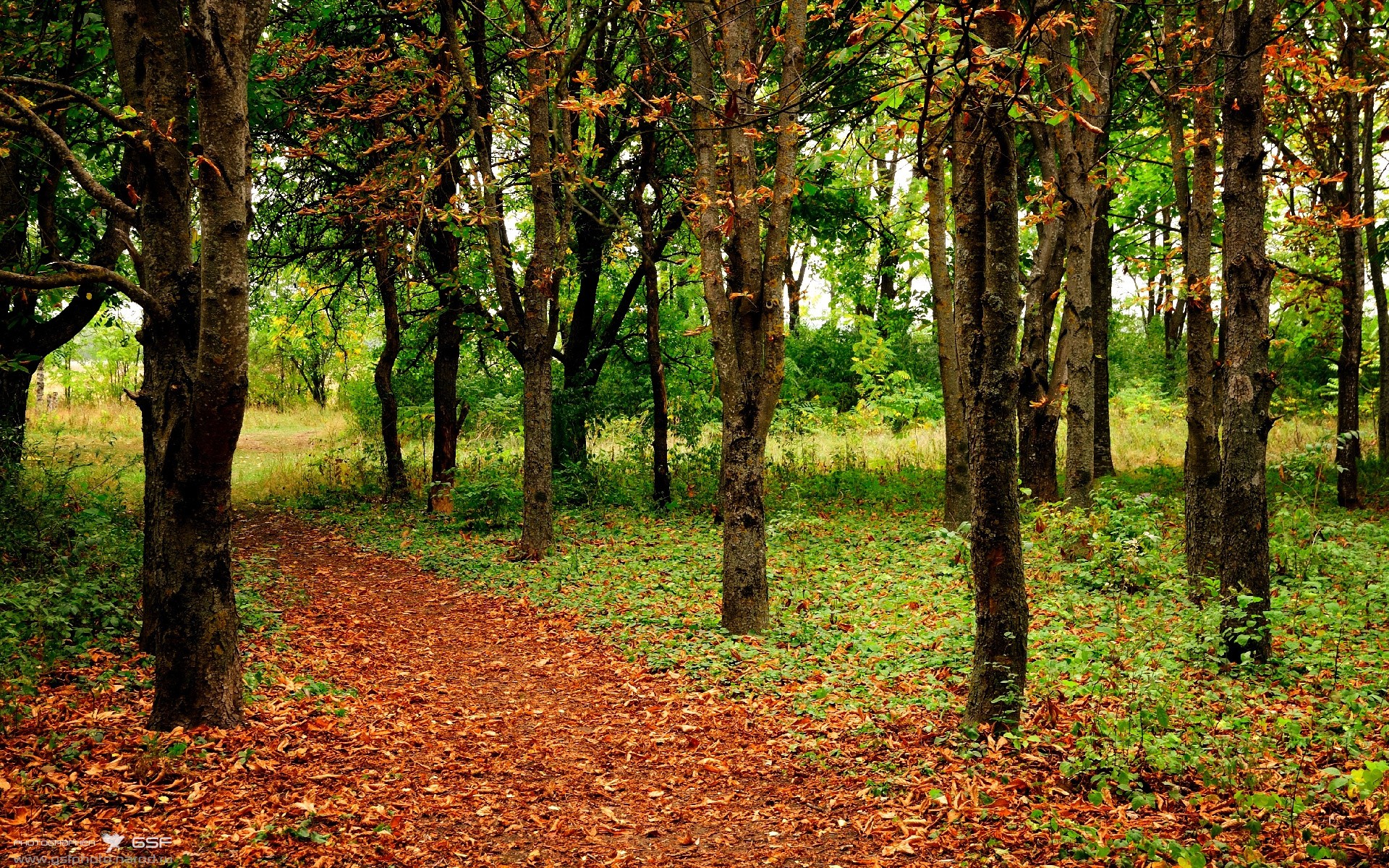 T1战术调整效果显著，tde战术