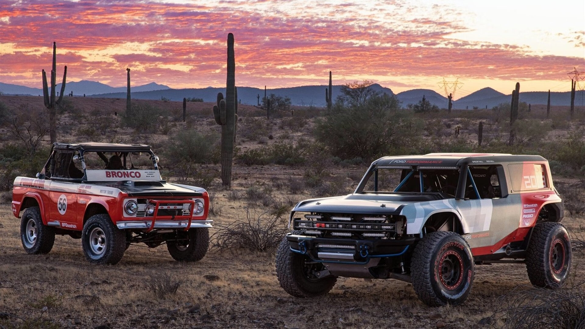 切尔西女足主场比赛精彩瞬间，切尔西女足欧冠