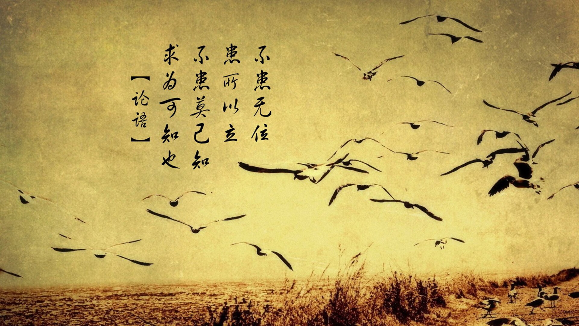 卫冕冠军压力山大,亚冠比赛前景未卜,亚冠冠军2021