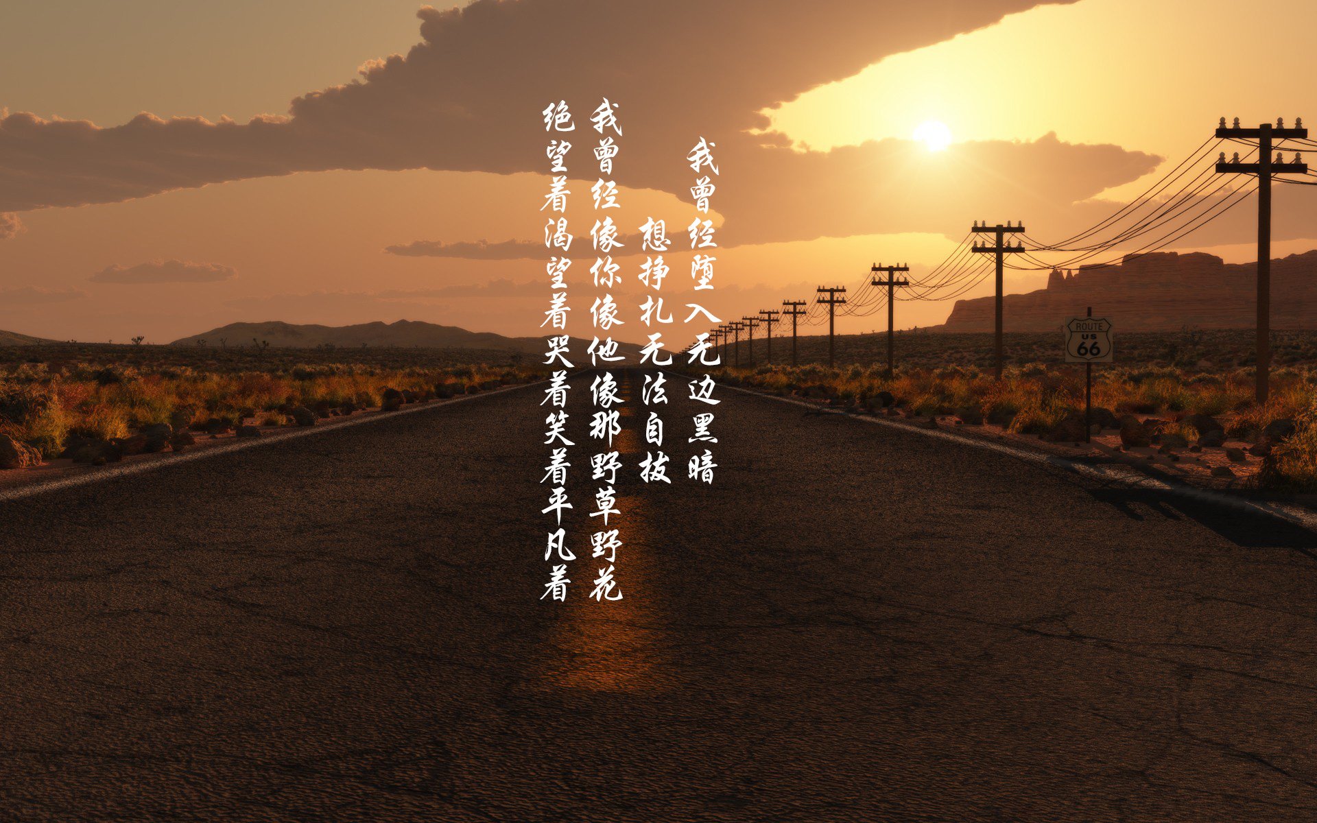 博洛尼亚主场告捷，提升士气备战下轮，博洛尼亚展