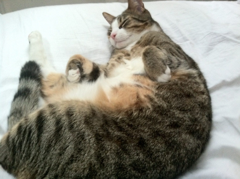 激情拉开序幕：亚洲杯赛体验竞技乐趣，亚洲杯赛程2021直播