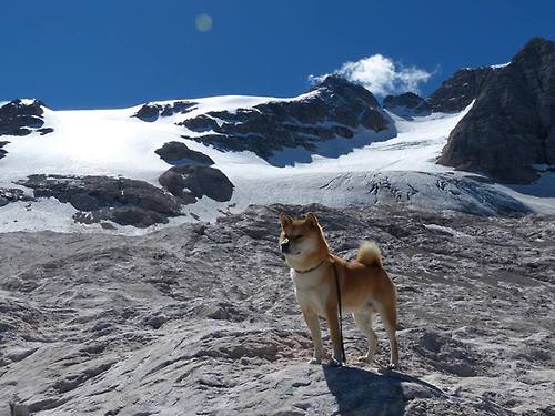 华体会登录最新地址-西甲劲旅放走重要球员，引发球迷不满，西甲球队进球榜