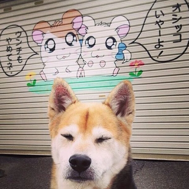 西班牙队备战罗马尼亚，胜负难分看点颇多，西班牙对名单