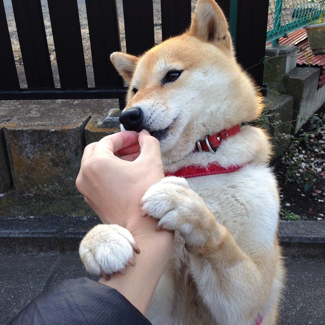 中小学体育教师继续教育模式研究,体育教师继续教育计划