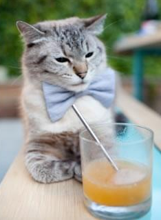 华体会hthapp下载-亚洲球队出战欧洲豪门：历史性胜负瞬间回顾，亚洲球员 欧冠