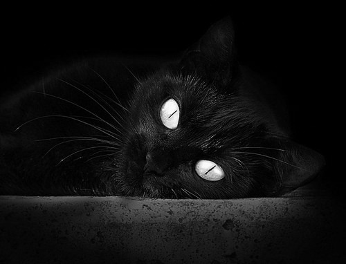 亚洲球队出战欧洲豪门：历史性胜负瞬间回顾，亚洲球员 欧冠