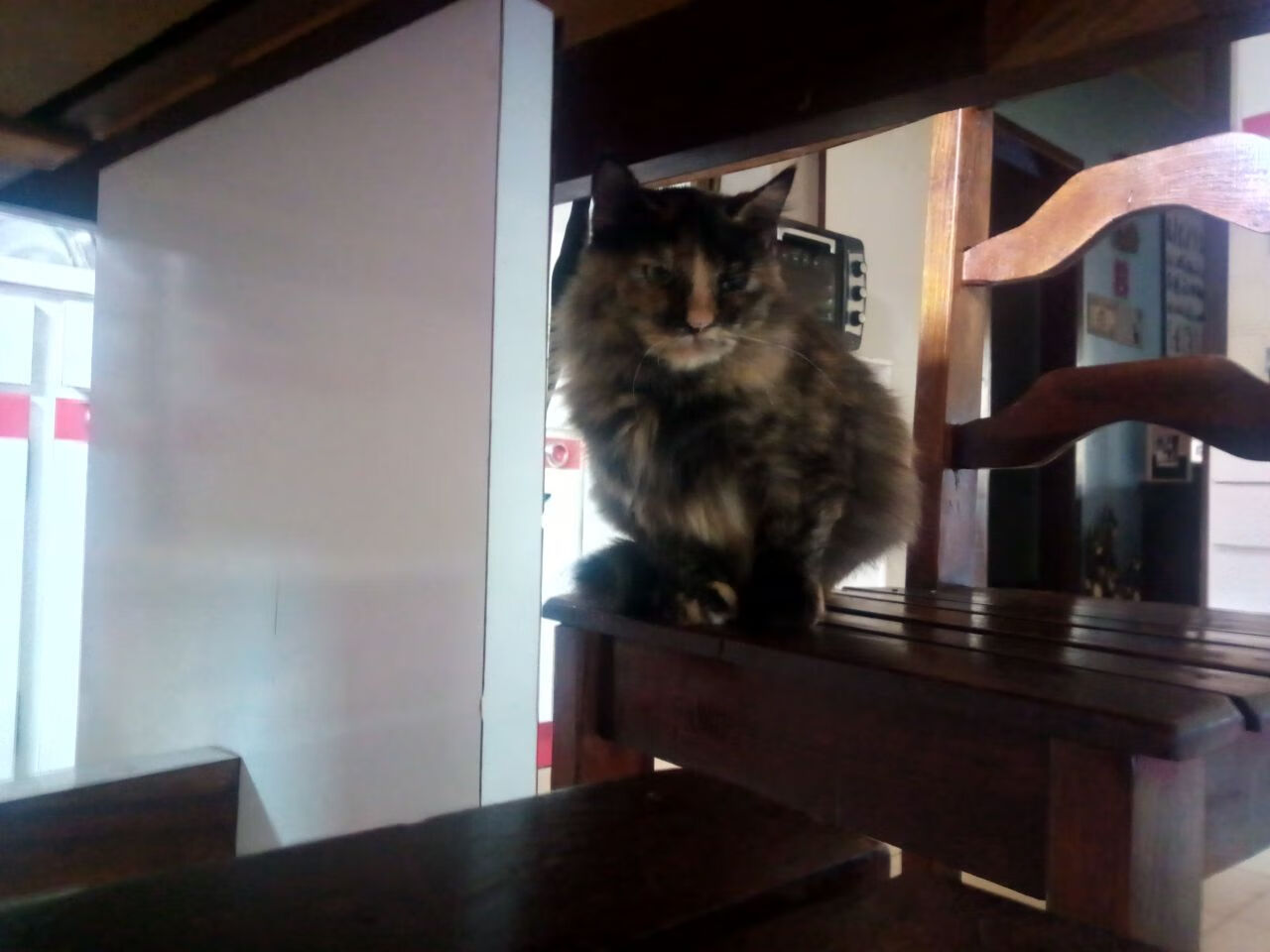 CBA球队全面升级体能管理体系，cba身体素质要求