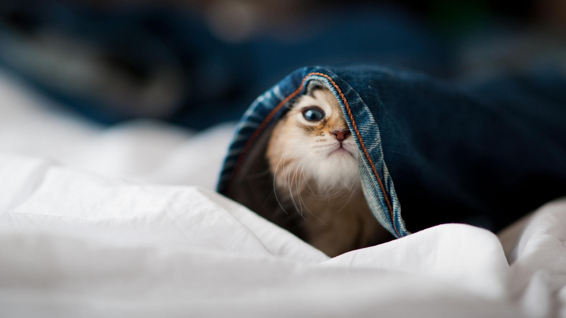 华体会hth登录-中国三人篮球女队积极构建战术统一性，中国三人篮球女队获得的成绩为