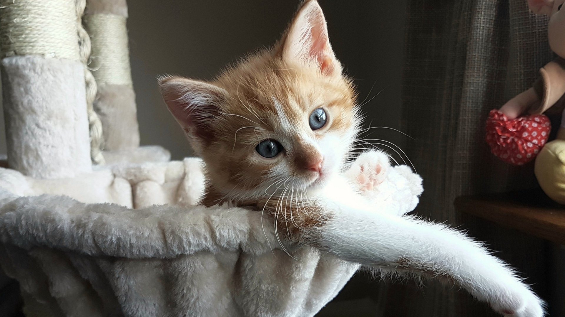 华体会hth平台-中立B女队崛起，年轻新星备受瞩目，中立球队