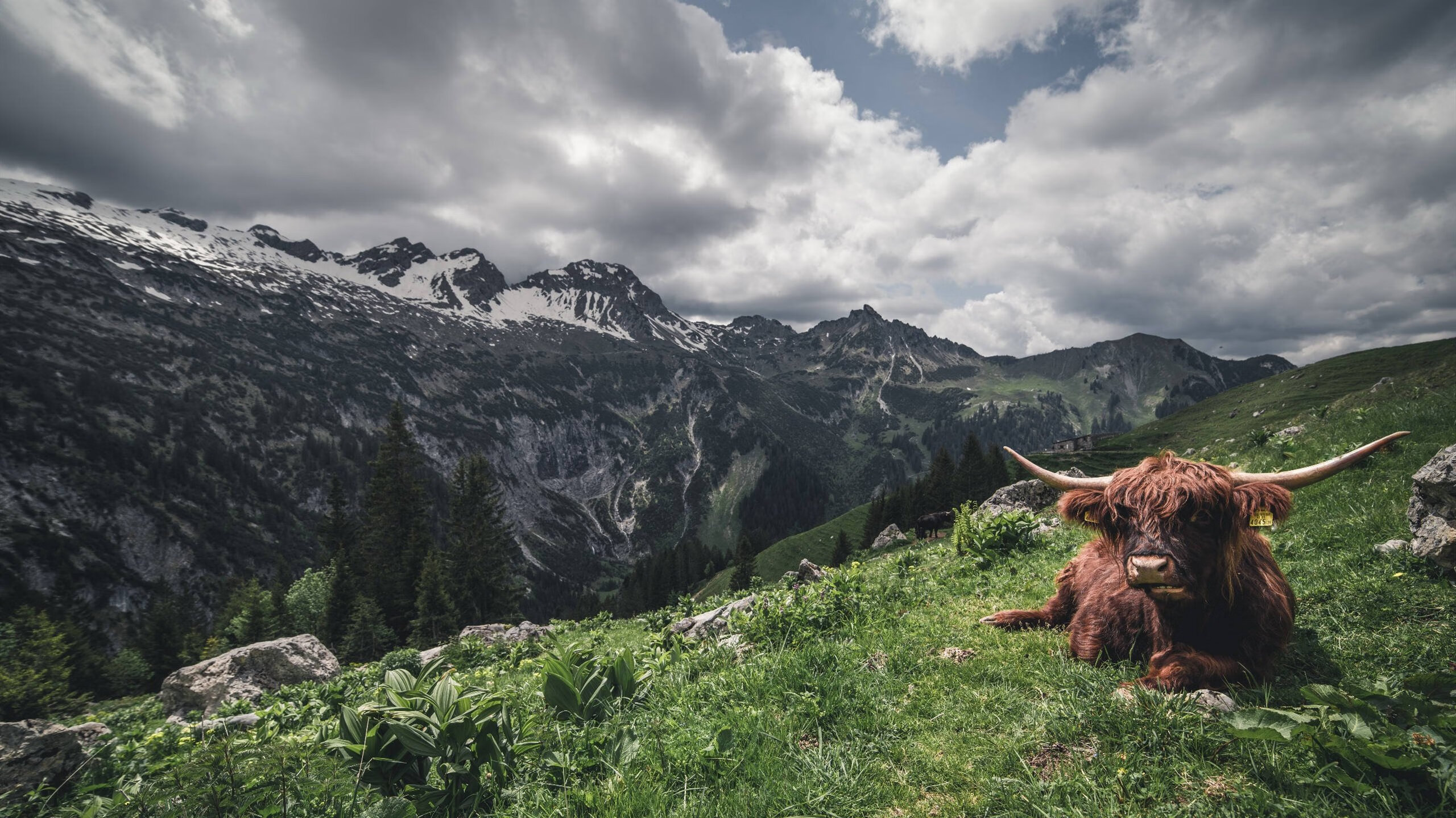 华体会hth平台-快节奏中球员处理球是否更倾向于直觉判断，快节奏进攻和冷静创造进球机会