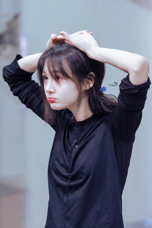 美洲杯激情四射：明星联袂演绎精彩！，美洲杯完整视频