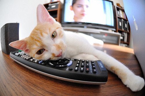 华体会hth登录-西甲超级点球：紧张时刻，惊心动魄！，西甲点球榜